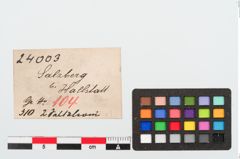 Etikett zu Bronzespiralröhrchen (NHMW-PRAE-024003)